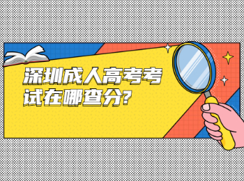 深圳成人高考考試在哪查分?